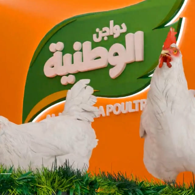 دواجن الوطنية — إنتاج فيديو ثلاثي الأبعاد