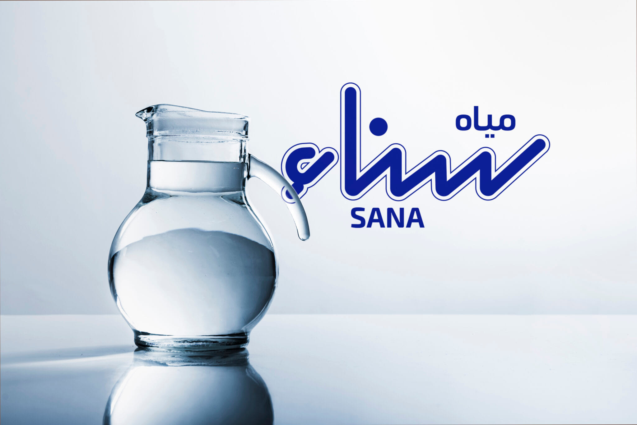 تصميم الشعار — شركة مياه سناء